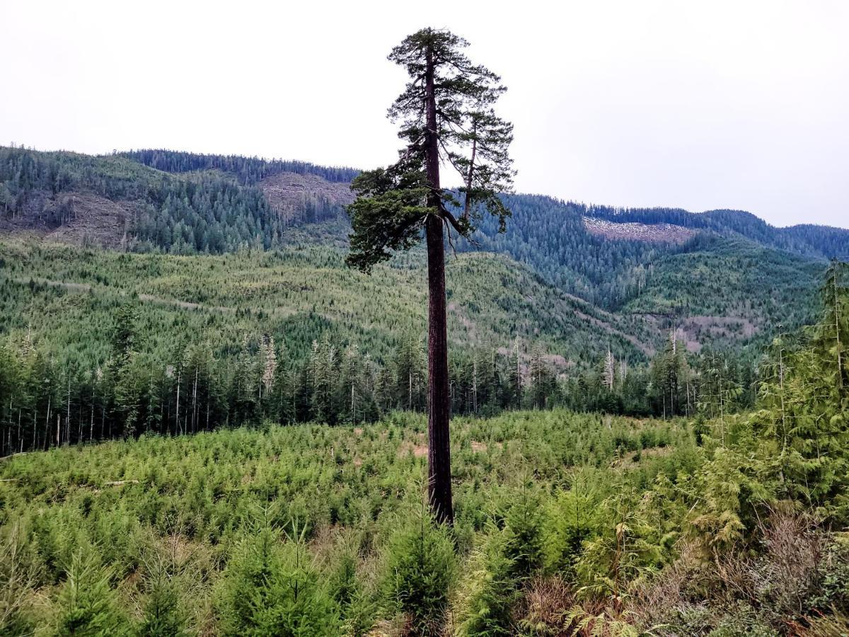 Port Renfrew Vacation Rentals Экстерьер фото
